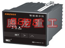 溫度表、數(shù)字顯示儀、濕度表