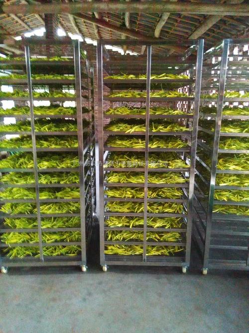 黃花菜烘干機(jī)、黃花菜烘干設(shè)備、黃花菜干燥機(jī)、黃花菜干燥設(shè)備、